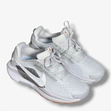 Nike Pegasus Trail 5 Gris