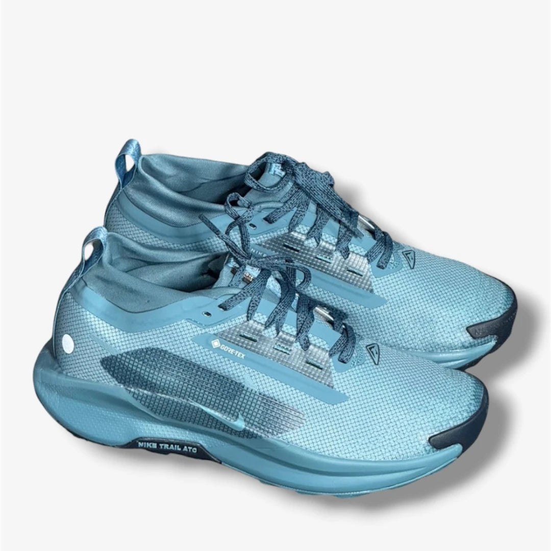 Nike Pegasus Trail 5  Gore-TEX Azul