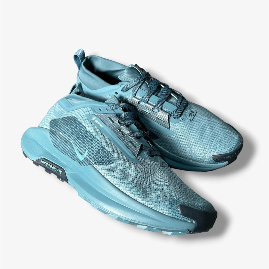 Nike Pegasus Trail 5  Gore-TEX Azul