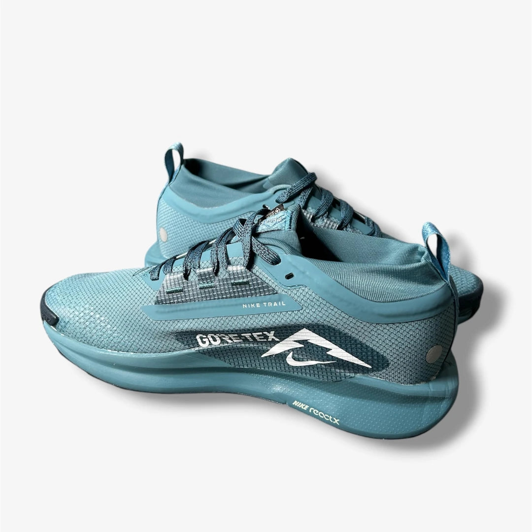 Nike Pegasus Trail 5  Gore-TEX Azul