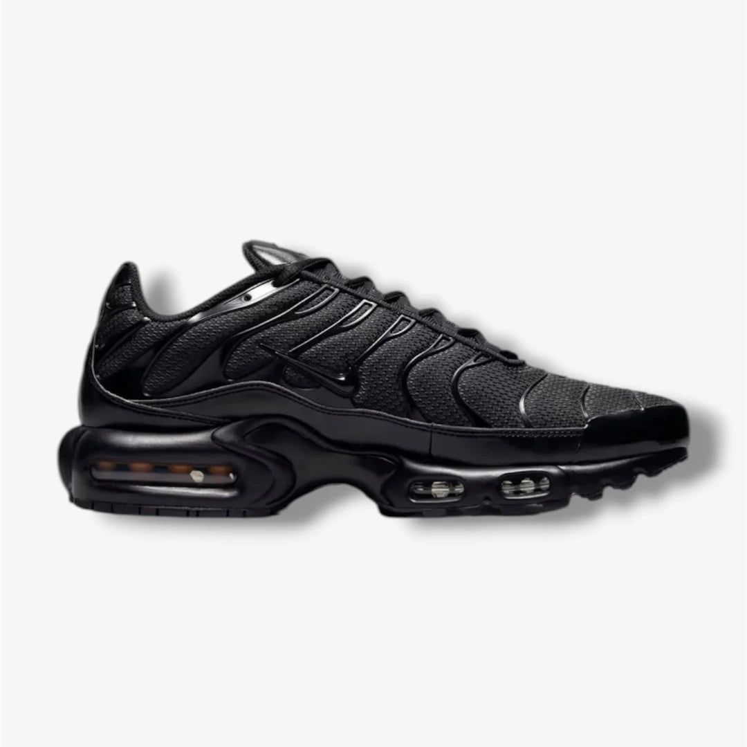 Nike TN Negro